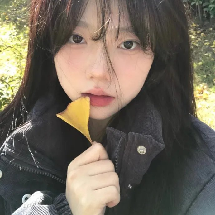 骇客娃娃